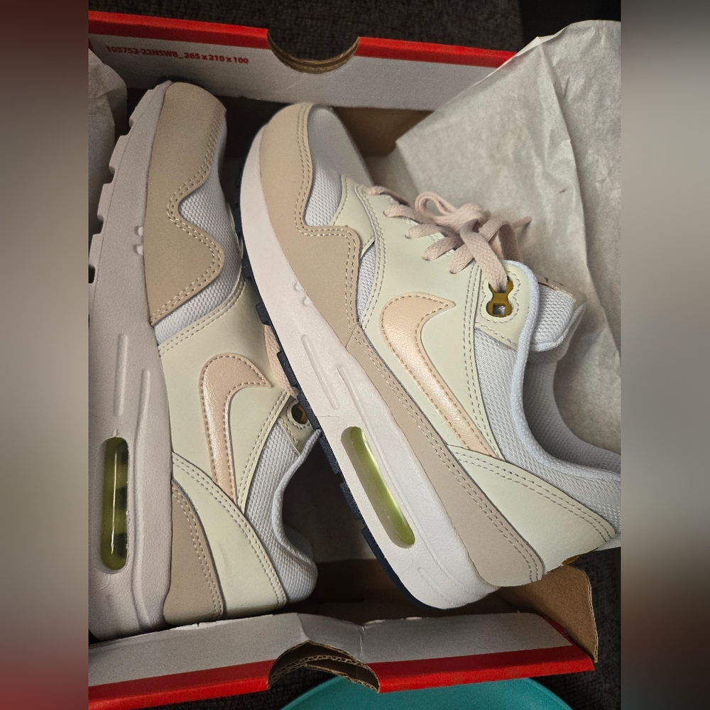 Nike Air Max 1